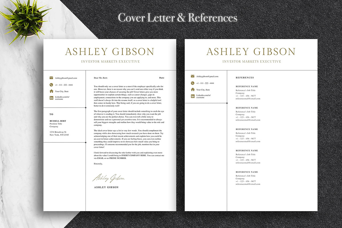 Professional Canva CV Pack | Canva, a Resume Template by Lux Resume (Photo 4 of 9)