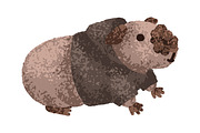 Cute, funny guinea pig animals set, an Animal Illustration by Good Studio (Thumbnail 3 of 14)