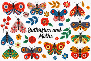 Butterflies And Moths Collection