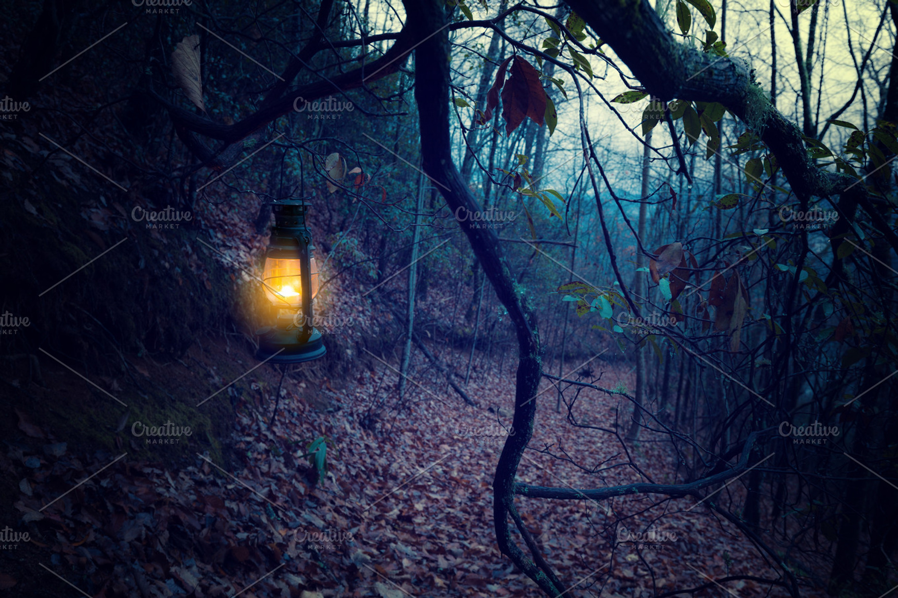 Vintage lantern at the dark forest, a Holiday Photo by khoroshkov