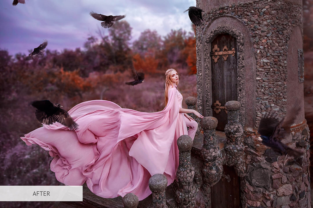 Bird Overlays Photoshop, a Plug-in Add-On by FixThePhoto (Photo 19 of 32)