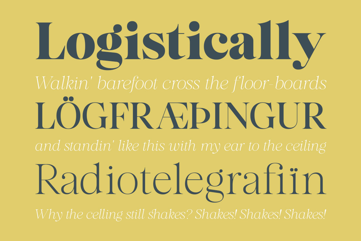 Almero Serif Family, a Serif Font by Zane Studio (Photo 11 of 11)