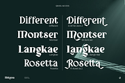 Shioma, a Serif Font by Aluyeah Studio (Thumbnail 14 of 15)