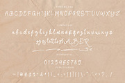 Renatta - Elegant Script Font, a Script Font by NTC Graphic (Thumbnail 8 of 9)