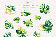 Lime Watercolor Collection, a Food Illustration by SashaKondr (Thumbnail 11 of 15)