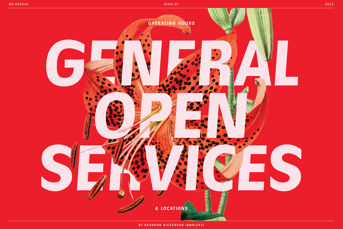 BN Rascal, a Sans Serif Font by Bnick (Photo 2 of 12)