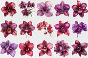 Watercolor Burgundy Orchids Clipart, a Seasonal Illustration by Rose Art (Thumbnail 2 of 6)