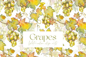Watercolor Grapes Clipart Set