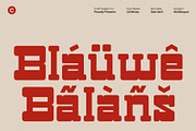 CS Misley – Slab Serif Font, a Slab Serif Font by Craft Supply Co. (Thumbnail 6 of 8)
