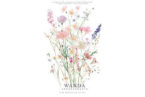 Watercolor Gentle Wildflower Clipart