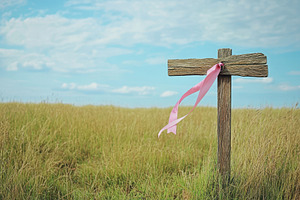 Wooden signpost adorned with a pink, a Photo by Iftikhar Alam