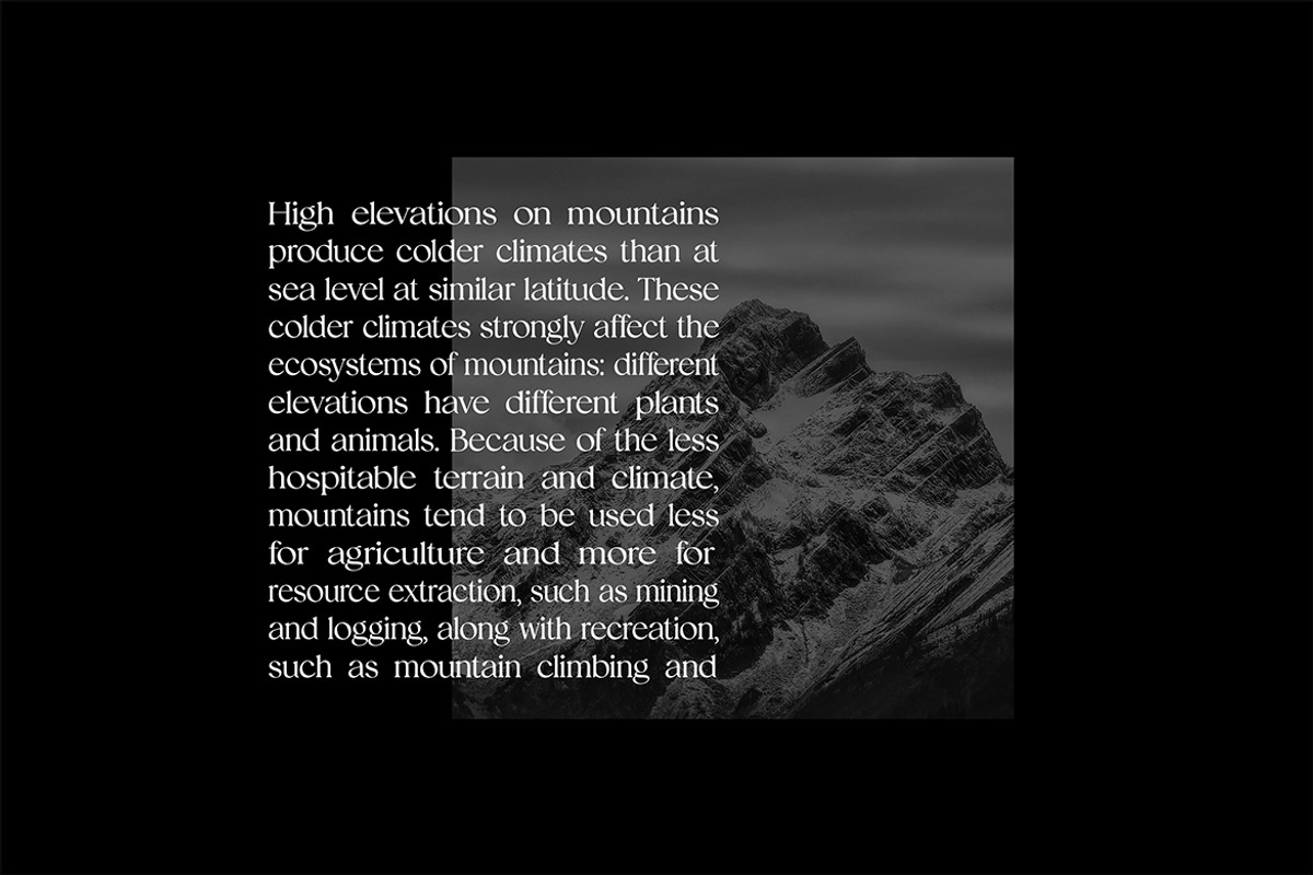 Ariane Coachella Elegant Serif Font, a Serif Font by UICreative (Photo 8 of 13)