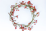Christmas Berry styled stock images, a Holiday Photo by Chalking Up Stock (Thumbnail 3 of 13)