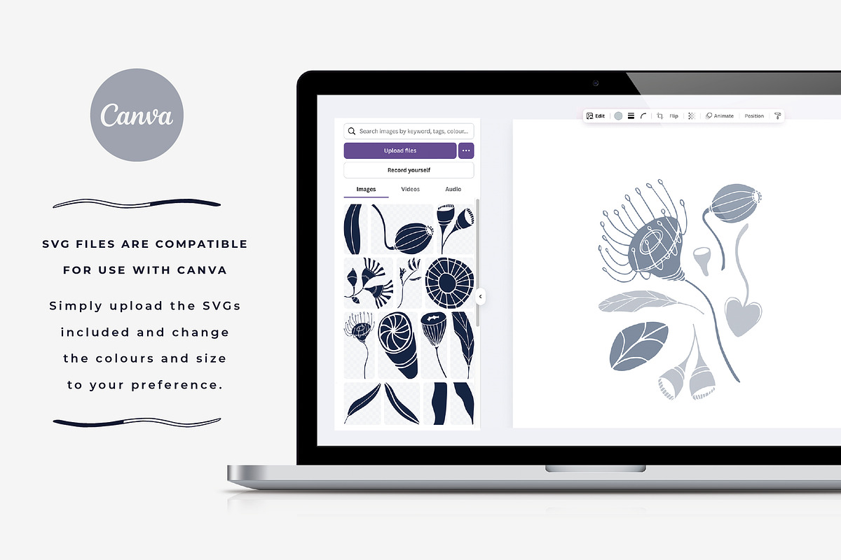 Australian Botanicals 4 in 1 Bundle, a Decorative Illustration by rouxsupplyco (Photo 7 of 25)