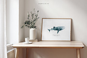 Watercolor Sharks. Ocean animals set, an Animal Illustration by Diana Askarova Art (Thumbnail 5 of 9)