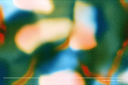 Echo Motion Animated Backgrounds, a Background Graphic by angelainthefields (Thumbnail 8 of 11)