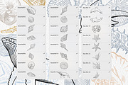 Sea life Procreate Stamp brushes, a Brush Add-On by ViktoriArt (Thumbnail 2 of 7)