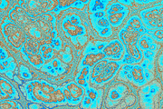 20 turquoise textures 64 Megapixel, a Texture Graphic by tkdesign (Thumbnail 19 of 20)