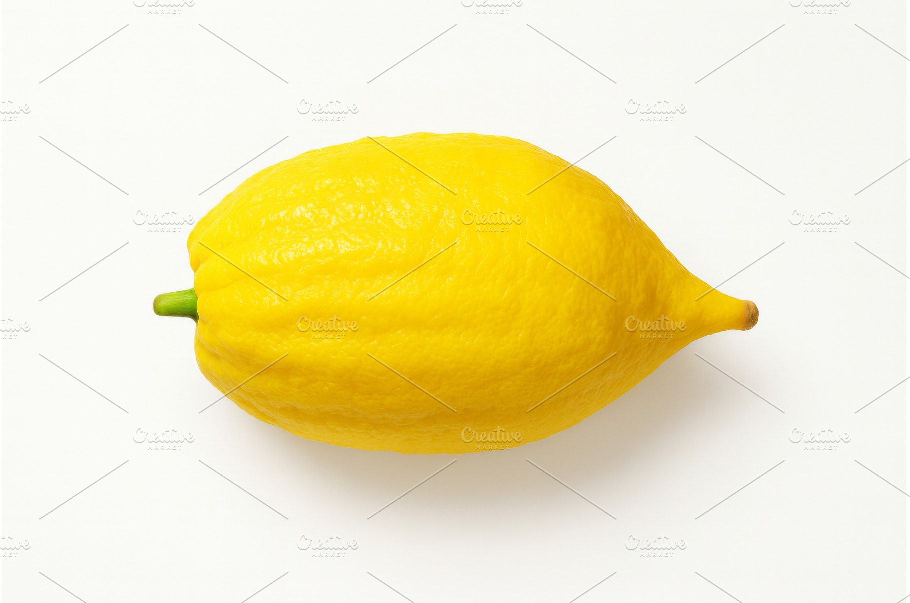 Yellow etrog, symbol of Jewish, a Holiday Photo by Ungvar Studio