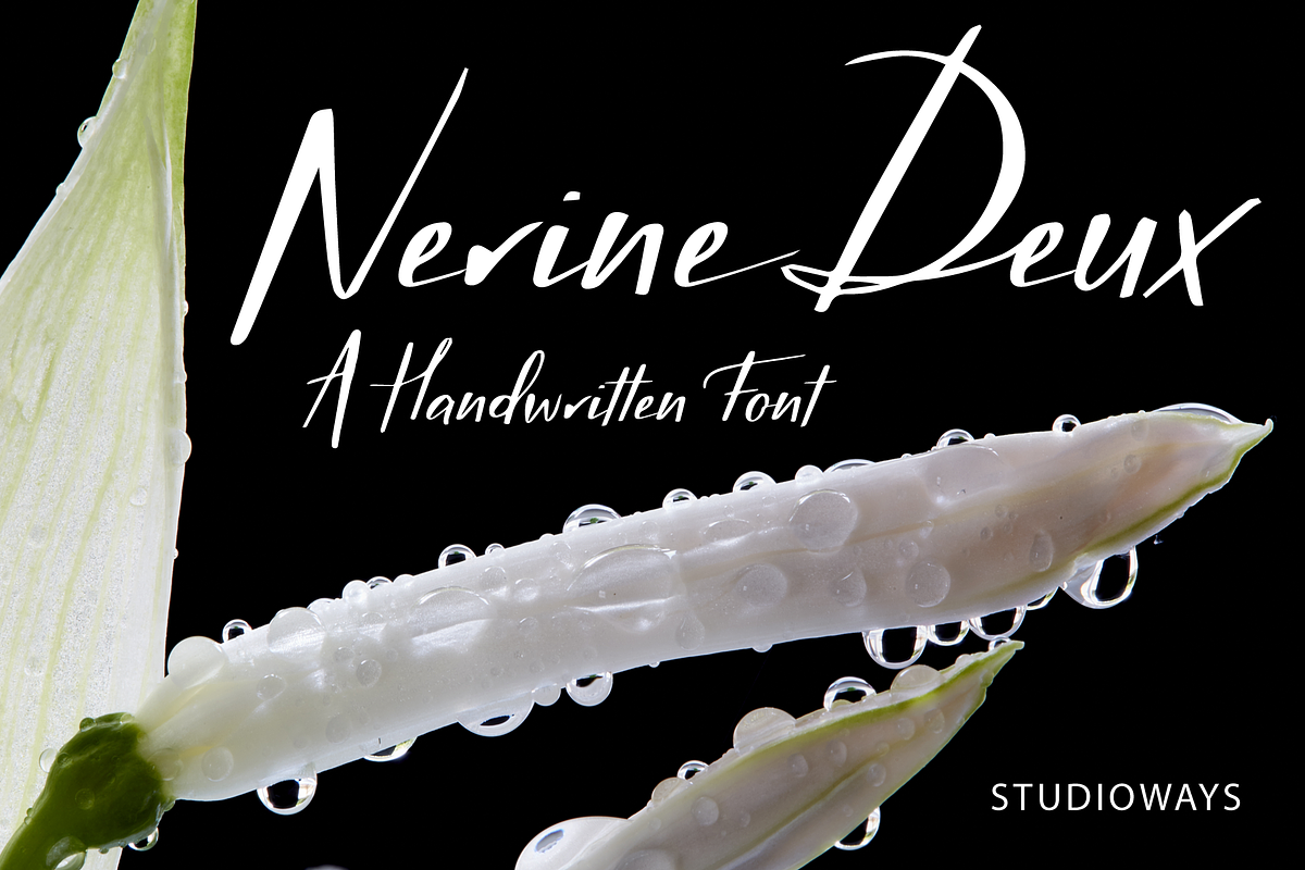 Nerine Deux, a Script Font by STUDIOWAYS (Photo 1 of 4)