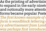 Foro, a Slab Serif Font by Hoftype (Thumbnail 7 of 14)