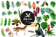 Tropic set, a Decorative Illustration by Tatiana Davidova (Thumbnail 2 of 3)