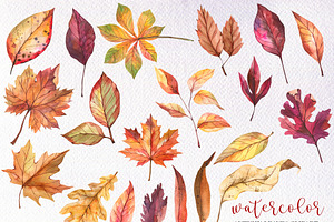 Watercolor Fall Leaves Clipart, PNG