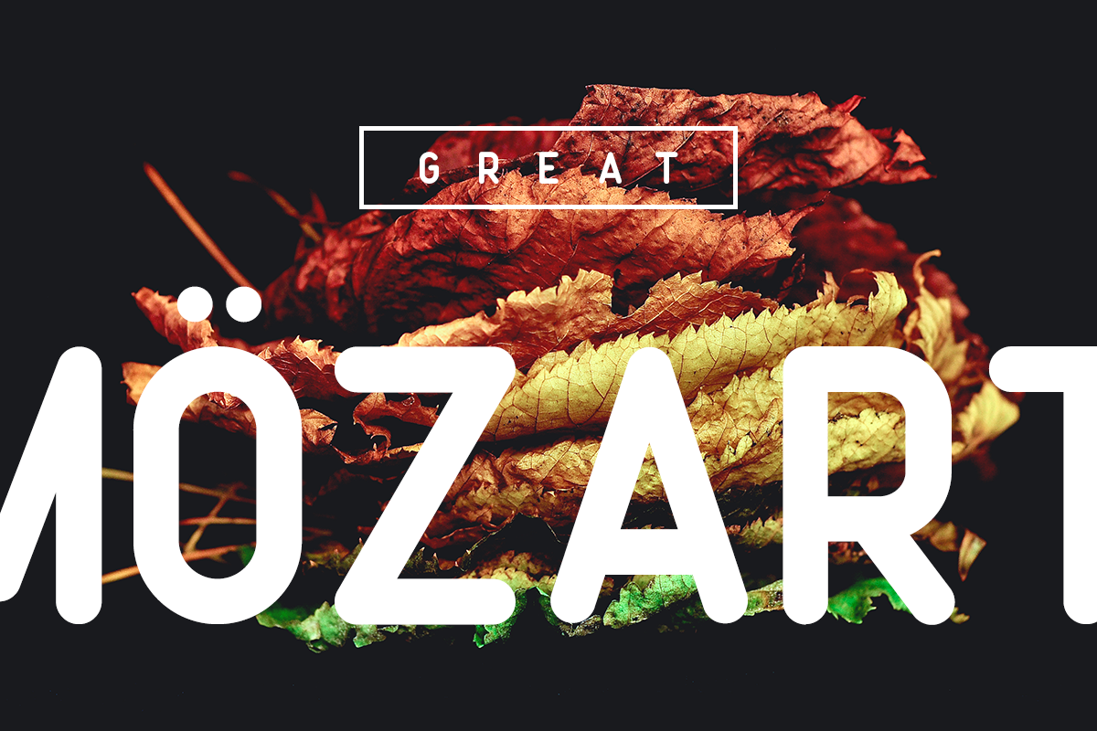 Sale 40% OFF - Rouge Sans, a Sans Serif Font by FactoryType (Photo 5 of 8)