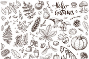 Autumn botanical sketches, a Decorative Illustration by Aquatinta (Thumbnail 6 of 8)