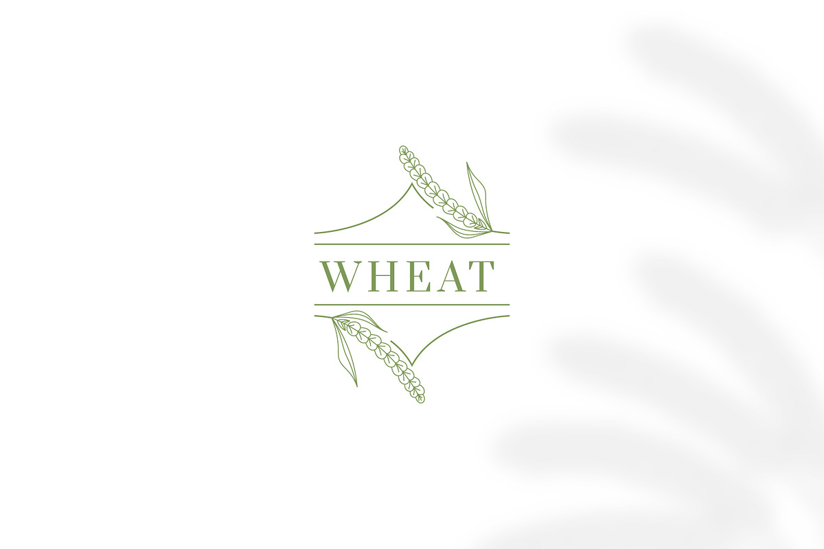 Botanical Illustration & Logo Bundle, a Branding & Logo Template by Lightsense (Photo 6 of 8)