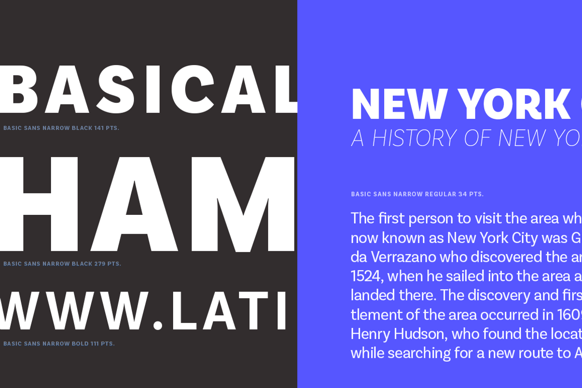Basic Sans Narrow preview 8