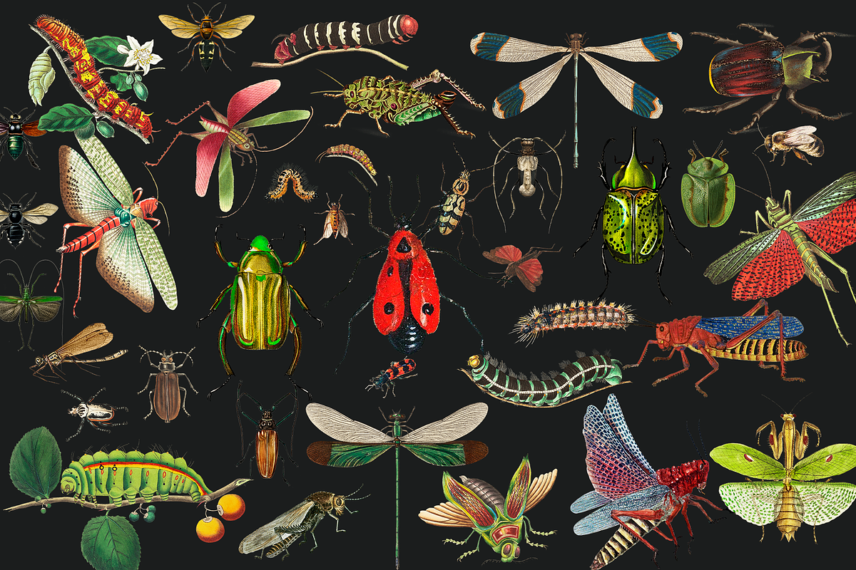SALE! Collage Art Creator Pack 1400+, an Animal Illustration by Lilithcollageart (Photo 2 of 19)