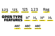 Thicker 44 fonts + 2 variables, a Sans Serif Font by Zetafonts (Thumbnail 12 of 13)