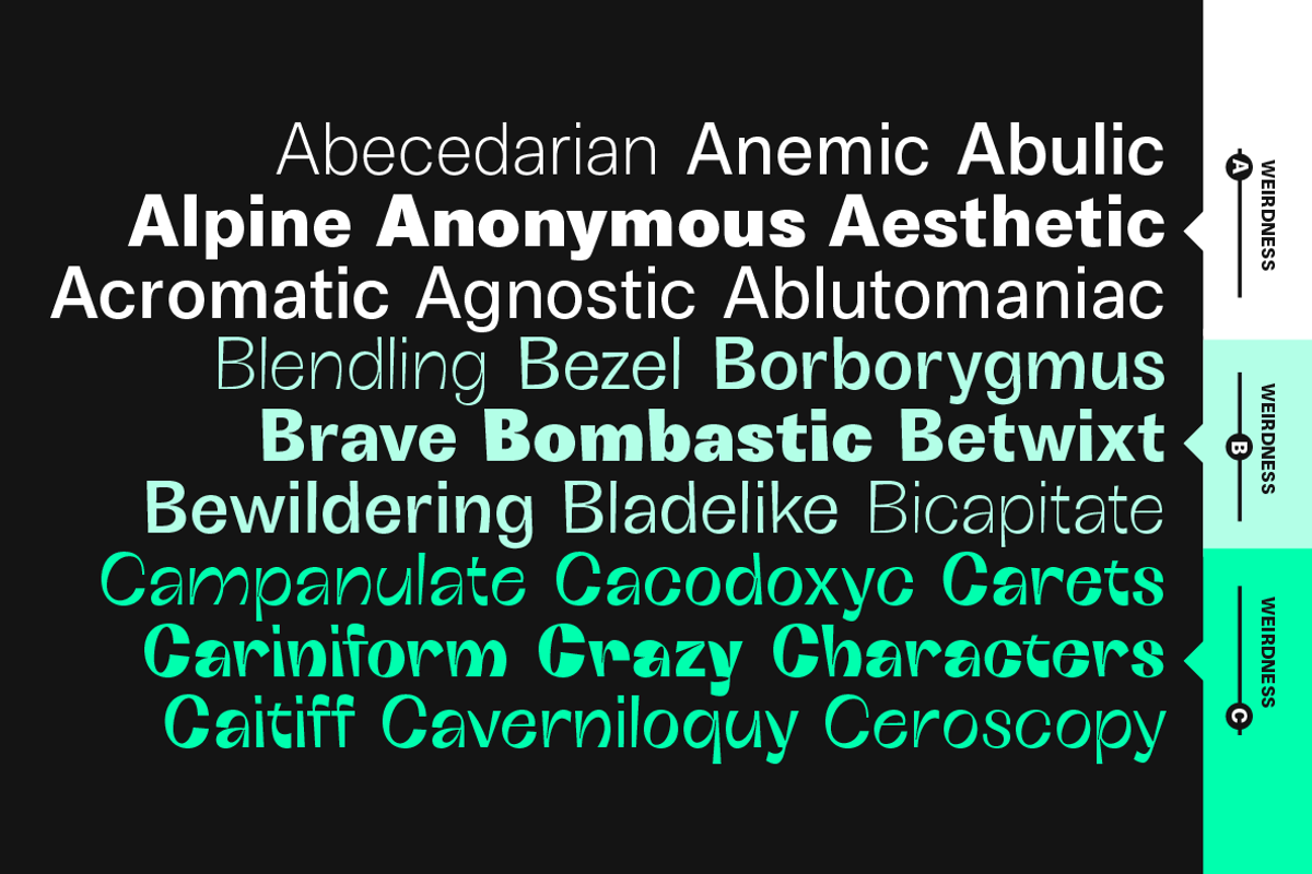 Boring Sans 30 fonts preview 6