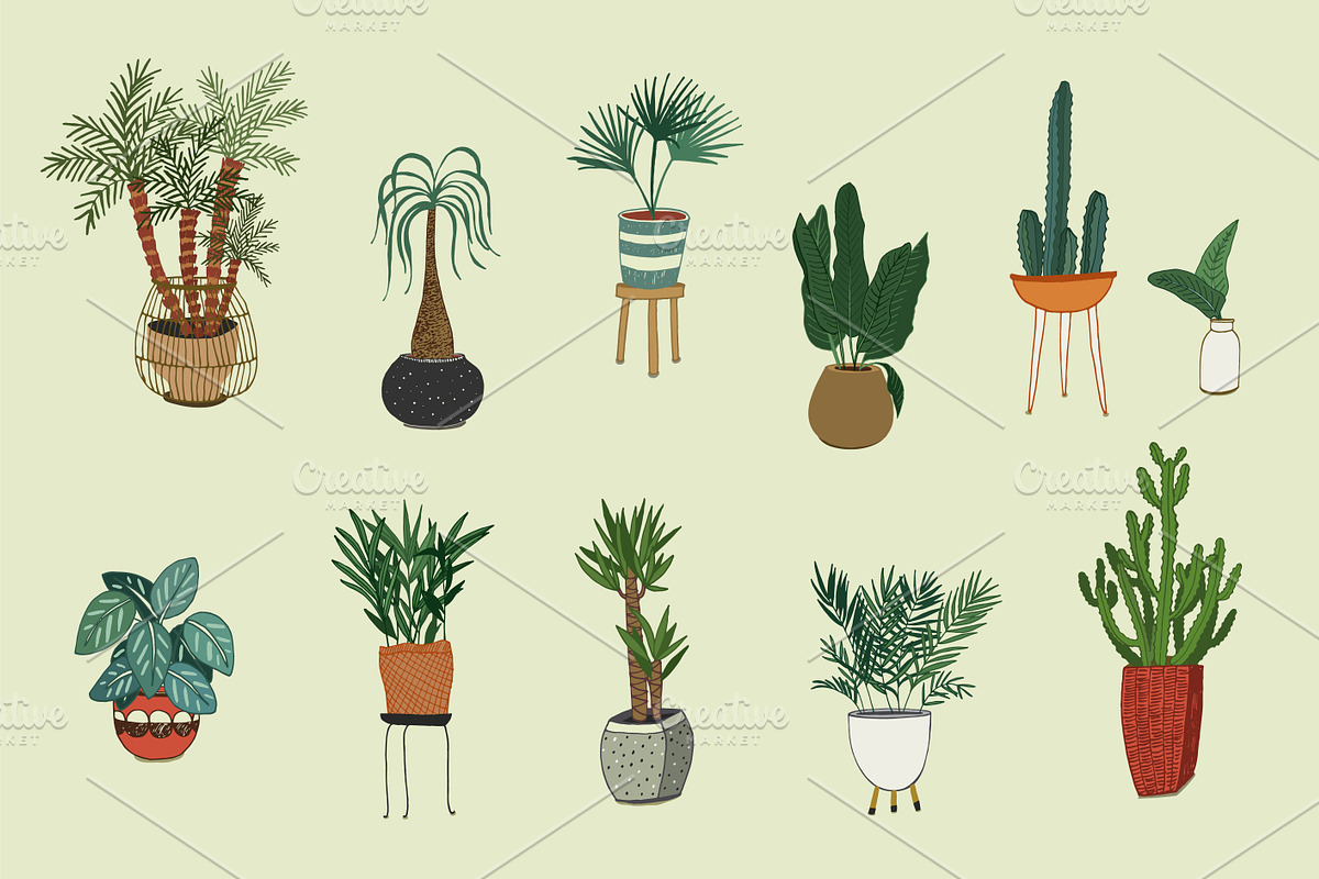 Interior Home Plants, a Pattern Graphic by GooseFrol (Photo 2 of 7)