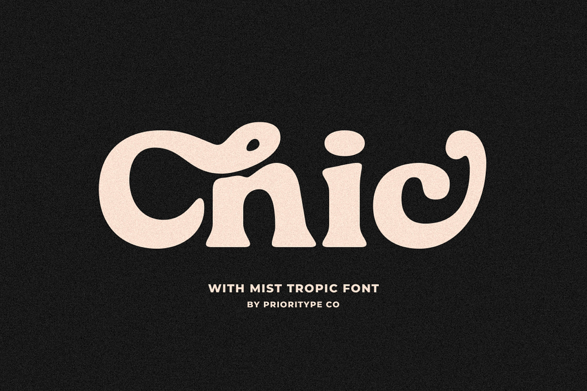 Mist Tropic - Tropic Serif Font, a Serif Font by Prioritype Co (Photo 4 of 10)