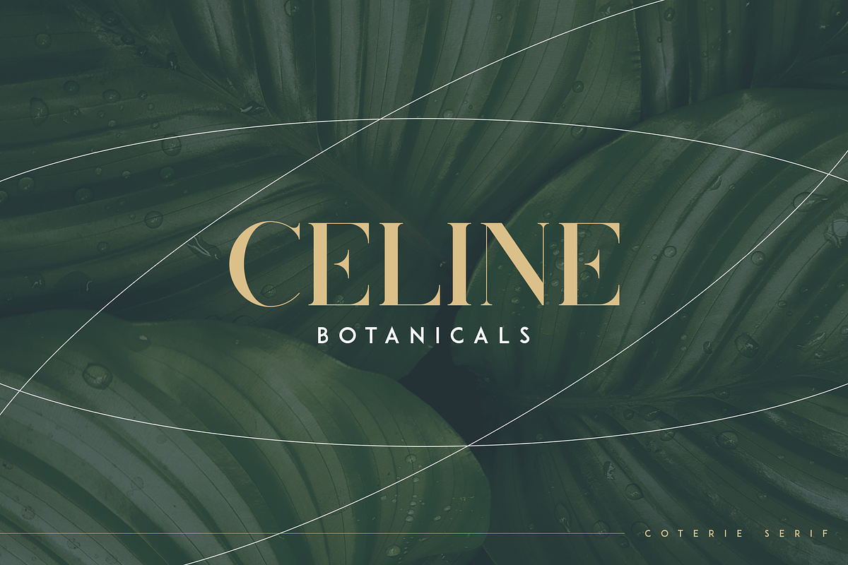 Coterie - Elegant Serif font, a Serif Font by Only Fonts (Photo 3 of 10)