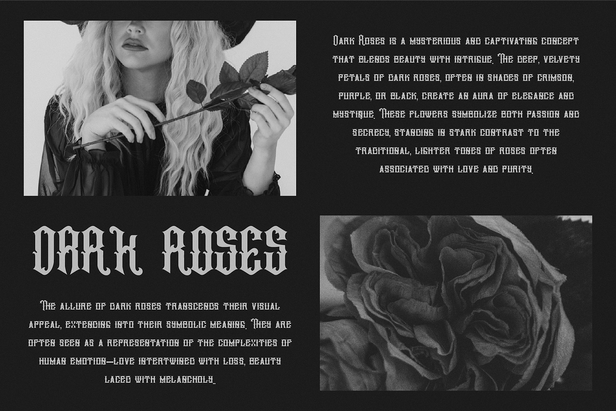 Astrellia - A Decorative Font, a Blackletter Font by Hanstype.com (Photo 7 of 10)