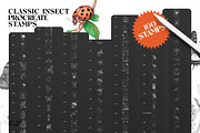 Classic Insect Procreate Stamps, a Shape Add-On by Spasibenko Art (Thumbnail 4 of 4)