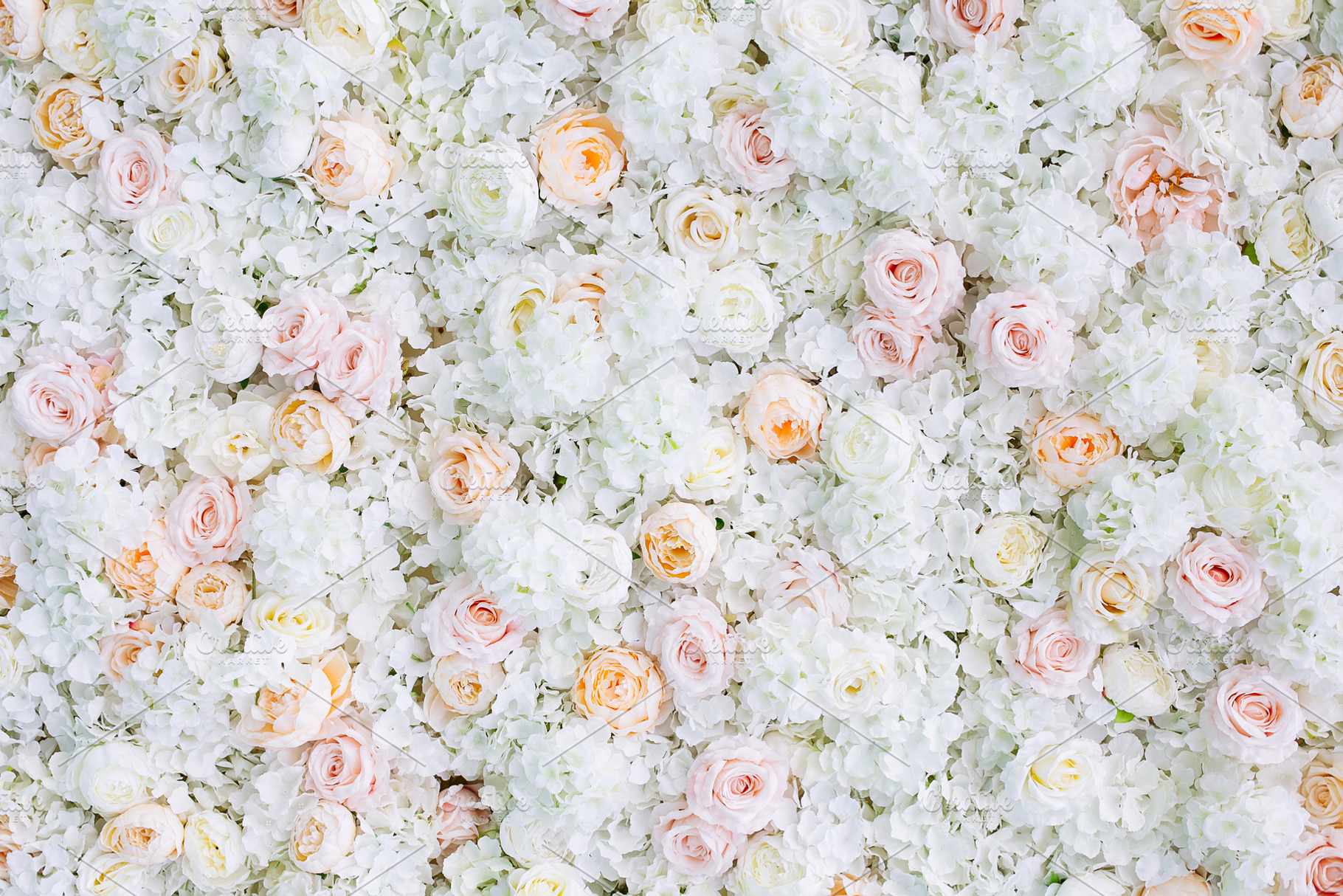 Flowers wall background white roses featuring abstract, art, and background, a Nature Photo by telnyaw