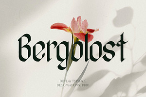 Bergolost Display Typeface