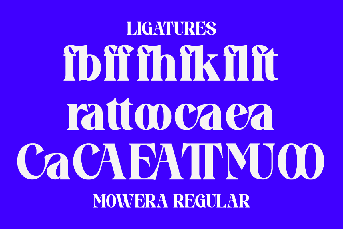 Mowera - Bold Serif, a Serif Font by tebaltipislab (Photo 6 of 15)