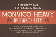 Monvico - Label Display Font, a Serif Font by Letterhend Studio (Thumbnail 7 of 10)