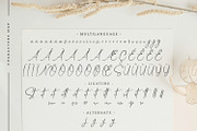 Confidently - Handwritten Font, a Script Font by naharsip (Thumbnail 10 of 12)