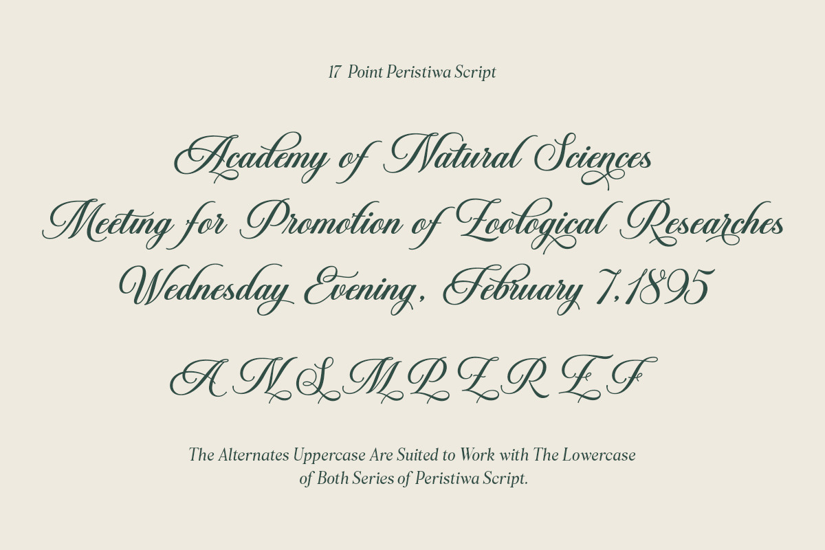 Peristiwa Script, a Script Font by Attract Studio (Photo 15 of 15)