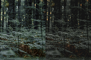 08 Into The Wild Lightroom Presets, a Preset Add-On by RamsaGraphi (Thumbnail 6 of 10)