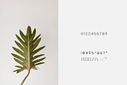 Espresso - Minimal Display Font, a Sans Serif Font by Creative Type (Thumbnail 5 of 5)
