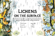 Lichens on the Surface, an Illustration by Ann Bright (Thumbnail 1 of 16)