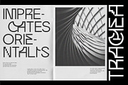 Trachea - Sans Serif Display Font, a Sans Serif Font by Brainwaves.Studio (Thumbnail 9 of 9)