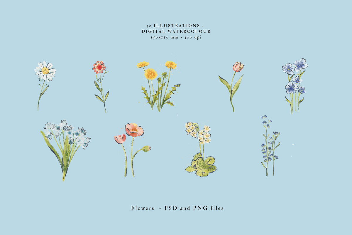 Primavera in Bottega, a Seasonal Illustration by Sara Zanello (Photo 4 of 24)